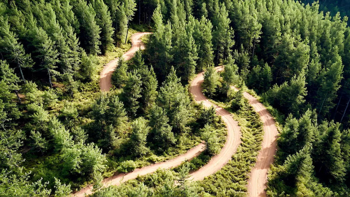 A winding dirt road weaving through a lush green forest from an aerial view symbolizing lifes complex journey growth resilience and finding direction in therapy and healing