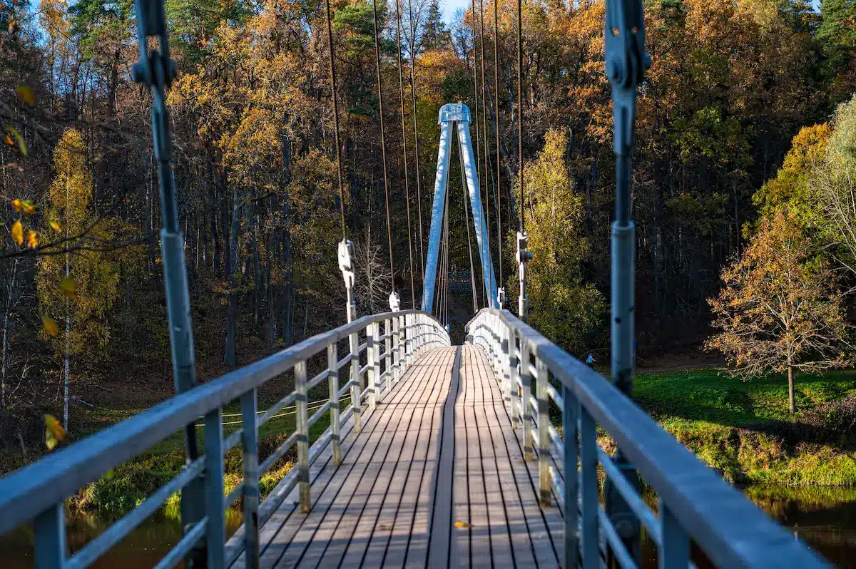 Suspension bridge leading through autumn trees reflecting connection and growth in depth oriented therapy annapolis